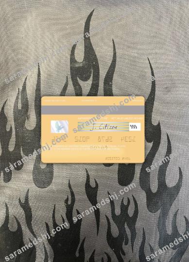 Hawaii First Hawaiian Bank visa debit card photolook back